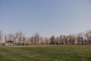 TendringEstate-CricketGround