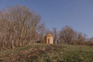 TendringEstate-Dovecot