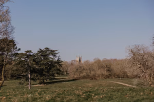 Tendring Hall Estate